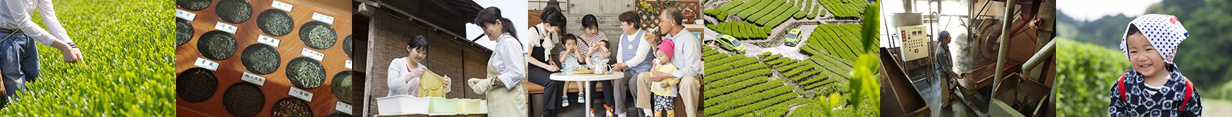 お茶ツーリズムイメージ写真