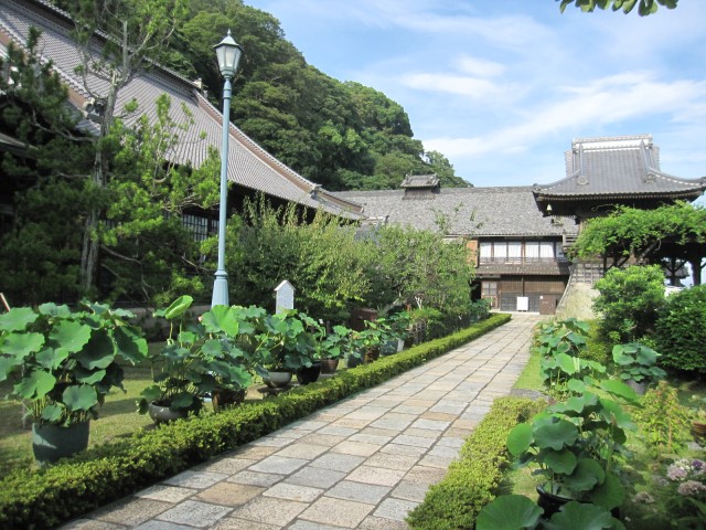 足利将軍や徳川家康公とも縁の深いお寺です。