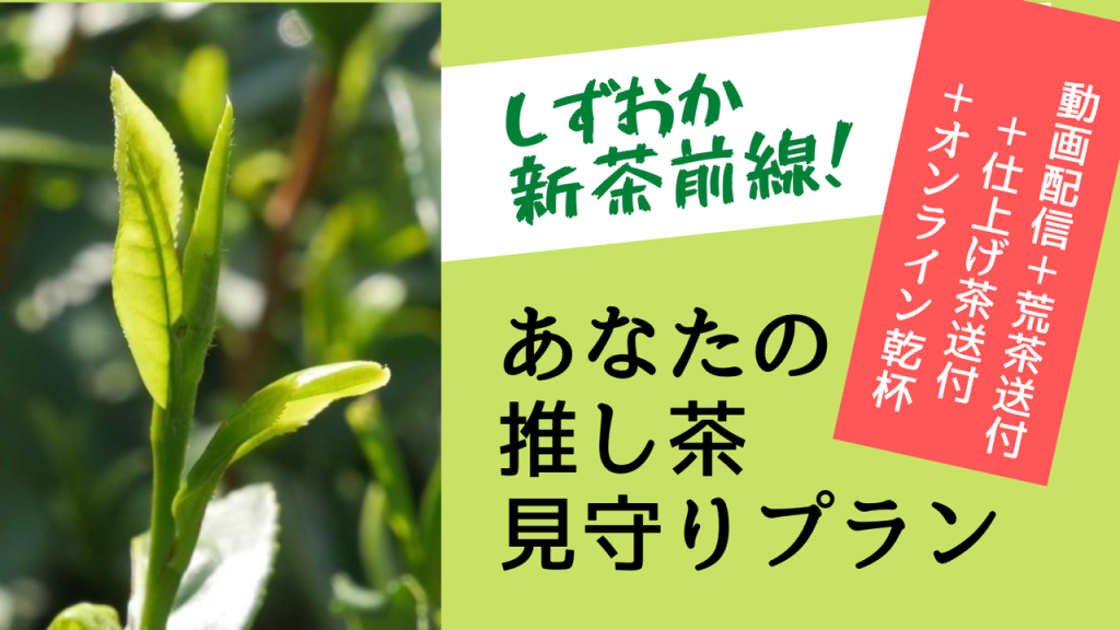 しずおか新茶前線！あなたの推し茶見守りプランの画像